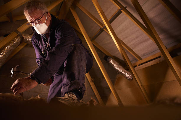 Best Insulation Installation Services in North Madison, OH